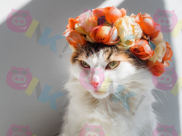 Cuadro Gato con flores - Oink Publicidad